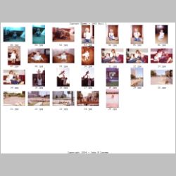Contact_Sheet_-_1983-03.jpg