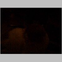 DSCF0038.AVI