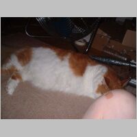 DSCF0039.JPG
