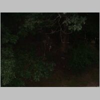 DSCF0025.JPG